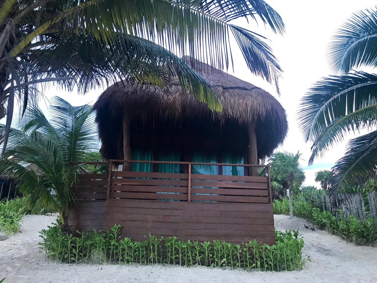 Agua Eco Design Hotel Tulum Bagian luar foto